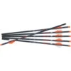 Ravin R18 Arrows .003 16 In. 6 Pk. -Outdoor Equipment Shop 1003593 1 81022.1667245787