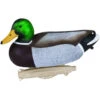 Flambeau Classic Mallard Decoy 6 Pk. 2 Flambeau Classic Mallard Decoy 6 Pk. -Outdoor Equipment Shop 1201532 1 32628.1666977299