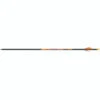 Black Eagle X-Impact Arrows .001 250 Blazer Vanes 6 Pk. -Outdoor Equipment Shop 1404217 1 49507.1707417643