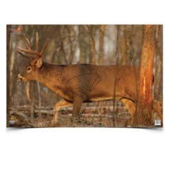 Birchwood Eze-Scorer 23"x35" Whitetail Deer Paper Target 2 Pack