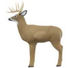 Shooter Big Buck Target 1 Shooter Big Buck Target -Outdoor Equipment Shop 45553 1 94858.1667243157