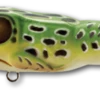 Live Target Frog Popper 2 1/2" 1/4 Oz Topwater Lure -Outdoor Equipment Shop 500 8b8b5c1a f132 458d a439 74b304a5ad42 70917.1545866843