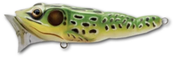 Live Target Frog Popper 2 1/2" 1/4 Oz Topwater Lure