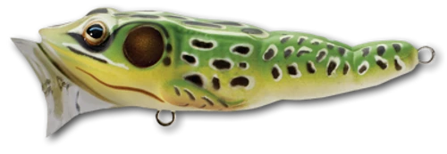 Live Target Frog Popper 2 1/2" 1/4 Oz Topwater Lure 3 Live Target Frog Popper 2 1/2" 1/4 Oz Topwater Lure