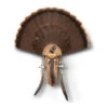 Hunters Specialties Strut Three Beard Mounting Plaque 1 Hunters Specialties Strut Three Beard Mounting Plaque -Outdoor Equipment Shop 65949 1 11399.1649946654