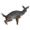 Montana Decoy Estrus Betty Doe Decoy -Outdoor Equipment Shop 70502 1 19287.1667242725