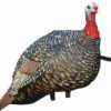 Avian X Quarter Strut Jake Turkey Decoy -Outdoor Equipment Shop 70531 2 62877.1712317240