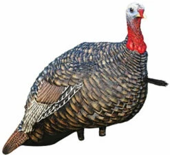 Avian X Quarter Strut Jake Turkey Decoy