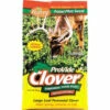 Evolved Habitats Provide Clover Food Plot 2 Pound Bag W/ Chicory -Outdoor Equipment Shop 718571 1 30515.1545866964
