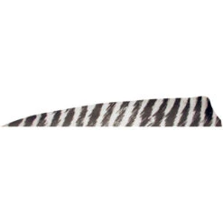 Gateway Shield Cut Feathers Barred White 4 In. RW 100 Pk.