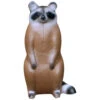 Real Wild Raccoon Target 1 Real Wild Raccoon Target -Outdoor Equipment Shop 77198 1 74466.1667245798