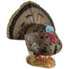 Rinehart Signature Strutting Turkey Target -Outdoor Equipment Shop 85119 1 29655.1698779562