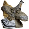 Rinehart Grouse Target -Outdoor Equipment Shop 85134 1 76224.1698779564
