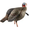 Avian X HDR Jake Decoy 1 Avian X HDR Jake Decoy -Outdoor Equipment Shop 87477 1 55689.1657808760