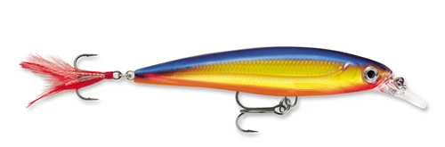 Rapala X Rap Size 10 Jerkbait Lure 6 Rapala X Rap Size 10 Jerkbait Lure - Image 4