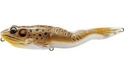 Live Target Frog Walking Bait 4 1/8" 5/8 Oz Topwater Lure -Outdoor Equipment Shop canvas ddf4b45d 7f9e 48dd 9af0 8d356a2f4cc6 92055.1545866958